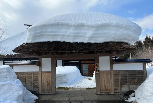 角館山荘 侘桜の写真・動画_image_670103