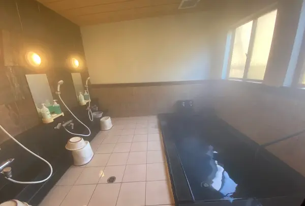 湯舟沢(ゆぶねさわ)温泉旅館の写真・動画_image_670188