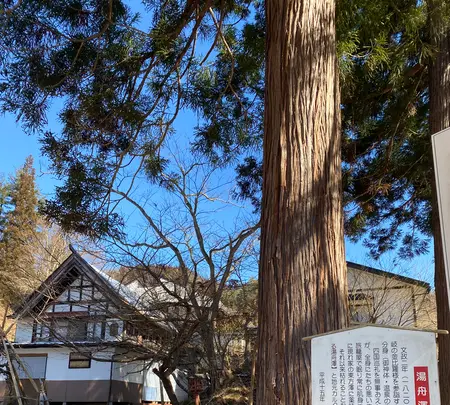 湯舟沢(ゆぶねさわ)温泉旅館の写真・動画_image_670189