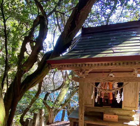 丸池様の写真・動画_image_670208