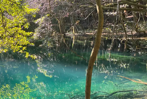 丸池様の写真・動画_image_670209