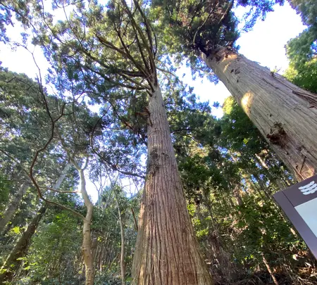 丸池様の写真・動画_image_670210