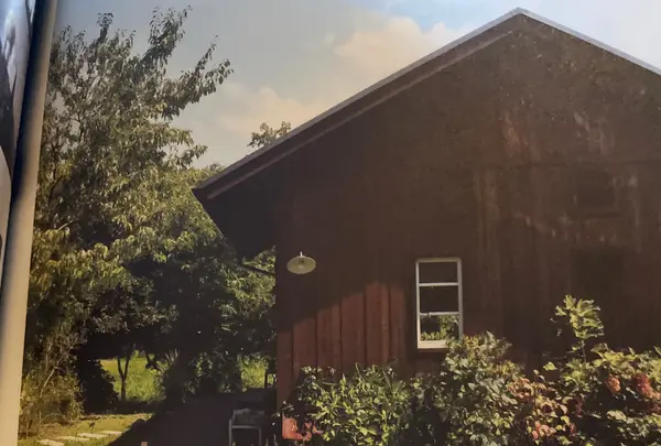 ハレノヒの写真・動画_image_670607