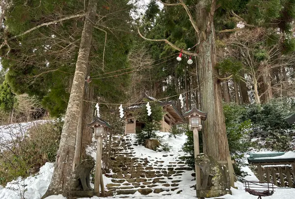 真山神社の写真・動画_image_671028