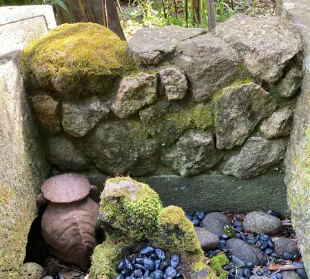 栖足寺の写真・動画_image_671175