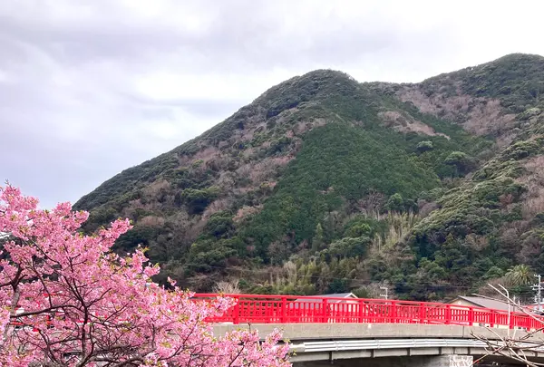 舘橋（静岡県賀茂郡河津町）の写真・動画_image_671199