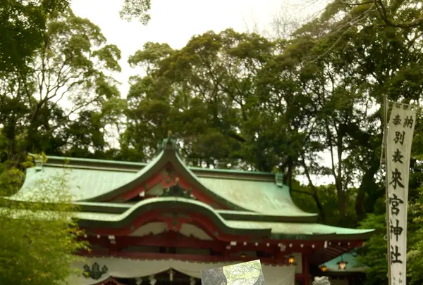 來宮神社の写真・動画_image_671226