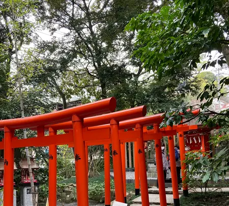 來宮神社の写真・動画_image_671234