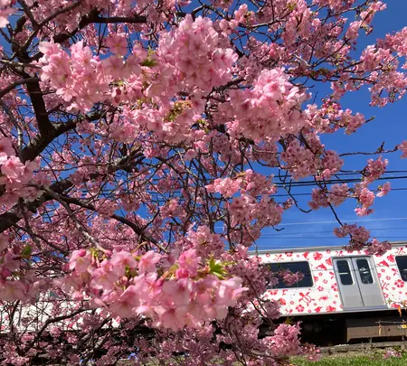 河津駅の写真・動画_image_671516