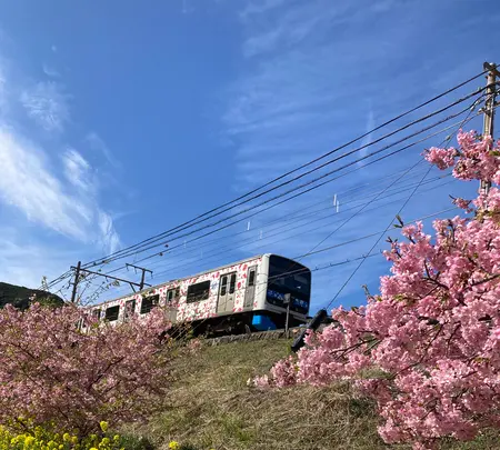 河津駅の写真・動画_image_671517