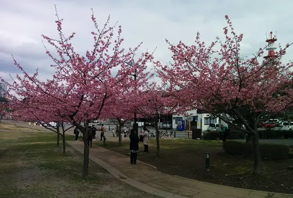 宇都宮城址公園の写真・動画_image_67161