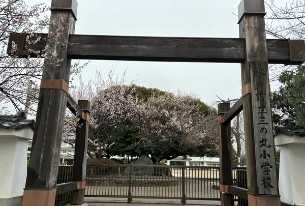 水戸城址の写真・動画_image_671627