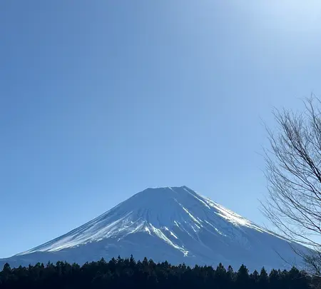 道の駅 朝霧高原の写真・動画_image_672177