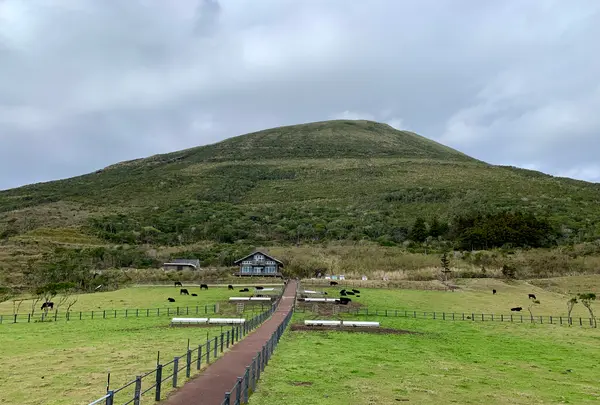 八丈富士牧野・ふれあい牧場の写真・動画_image_672824
