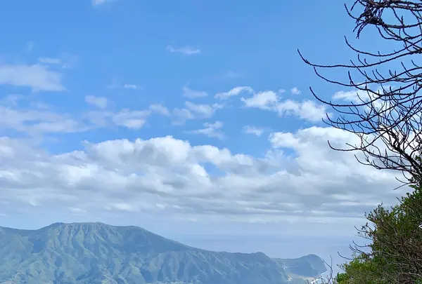 八丈富士登山口の写真・動画_image_672838