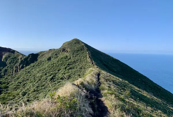 八丈富士登山口の写真・動画_image_672840