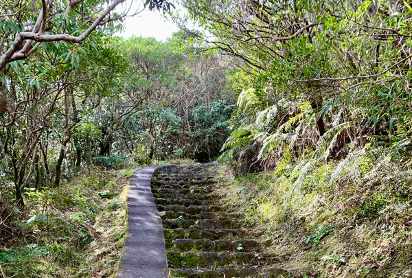 八丈富士登山口の写真・動画_image_672844