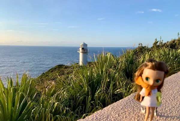 永郷展望台の写真・動画_image_672853