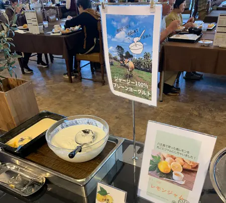 リードパークリゾート八丈島の写真・動画_image_672858