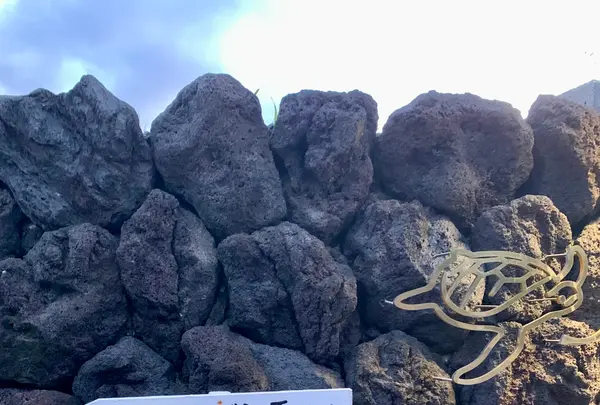 海辺のベンチの写真・動画_image_672866