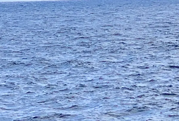 南原千畳岩海岸の写真・動画_image_673065