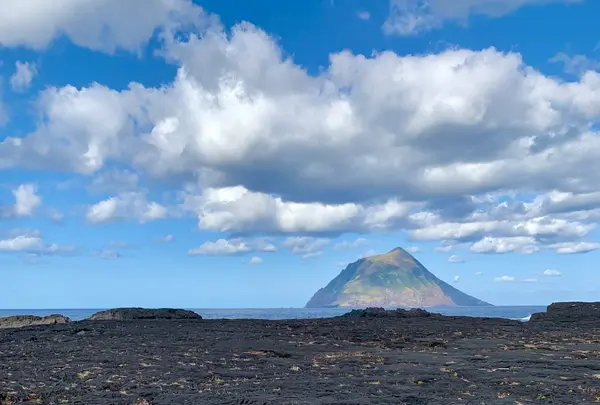南原千畳岩海岸の写真・動画_image_673068