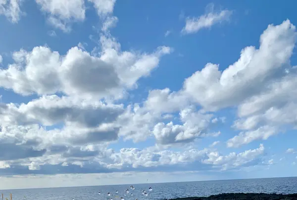 宇喜多秀家公と豪姫の碑の写真・動画_image_673073