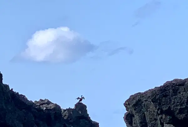 ヤケンヶ浜海水浴場の写真・動画_image_673076