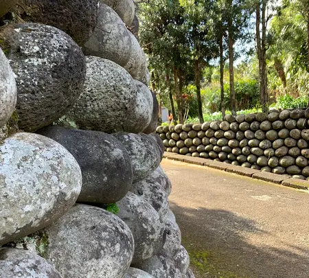 大里の玉石垣の写真・動画_image_673078