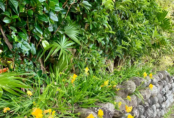 大里の玉石垣の写真・動画_image_673080