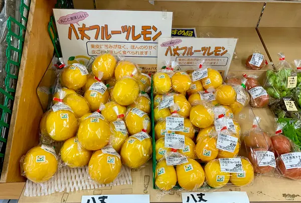 あさぬま大賀郷店の写真・動画_image_673594