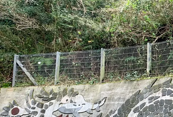 登龍峠展望台の写真・動画_image_673595