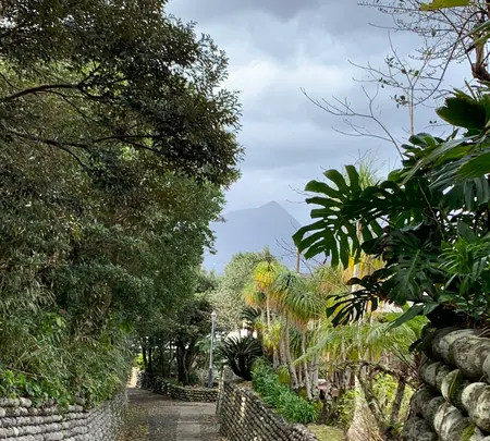 大里の玉石垣の写真・動画_image_673605