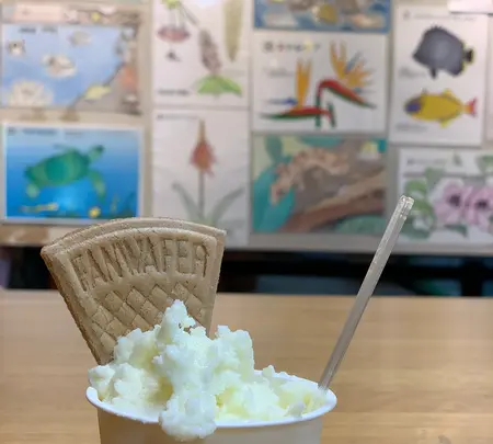 八丈植物公園の写真・動画_image_673607