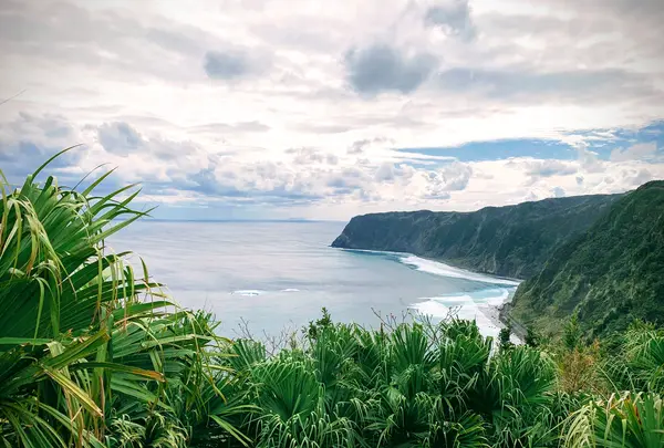 名古の展望台の写真・動画_image_673611