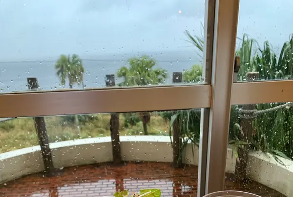 リードパークリゾート八丈島の写真・動画_image_673613