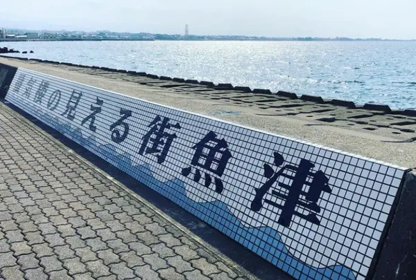 しんきろうロードの写真・動画_image_673958