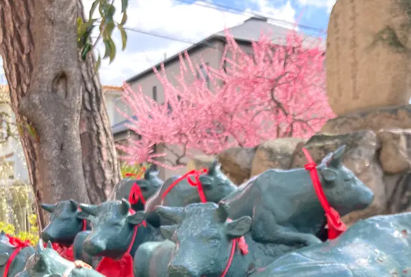 綱敷天満宮の写真・動画_image_674730