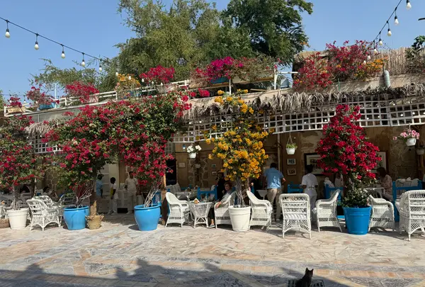 Arabian Tea House Restaurant and Caféの写真・動画_image_675134