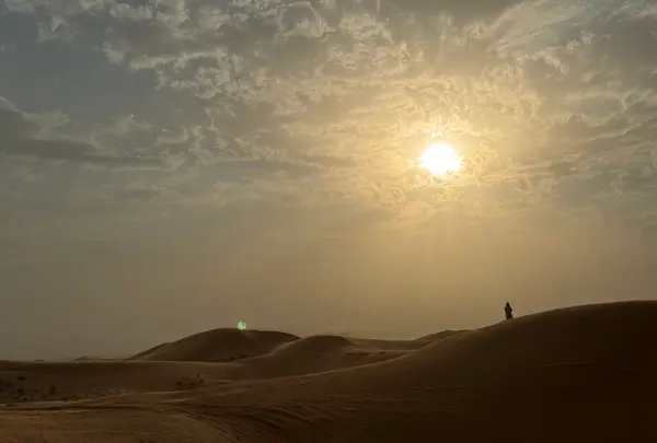Desert Safari Journey Dubaiの写真・動画_image_675146