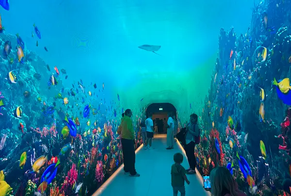 The View at The Palmの写真・動画_image_675164