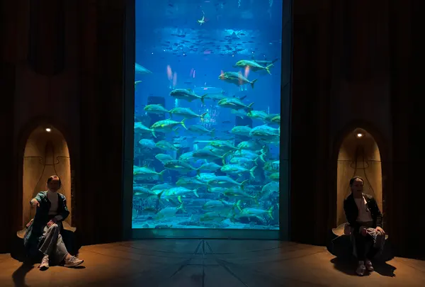The Lost Chambers Aquariumの写真・動画_image_675167