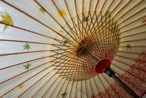 柳瀬良三製紙所 RYOZO paper millの写真・動画_image_675250