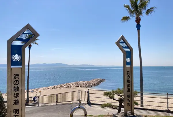 江井ヶ島海岸の写真・動画_image_675267