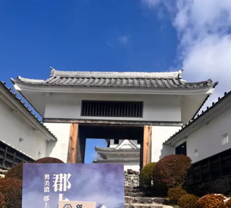 郡上八幡城の写真・動画_image_676063