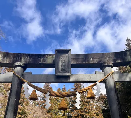 郡上八幡城の写真・動画_image_676064