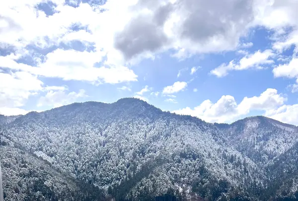 郡上八幡城の写真・動画_image_676065