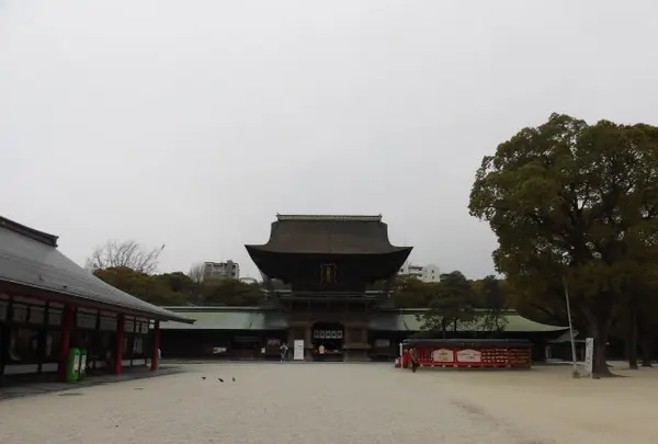 筥崎宮の写真・動画_image_676616