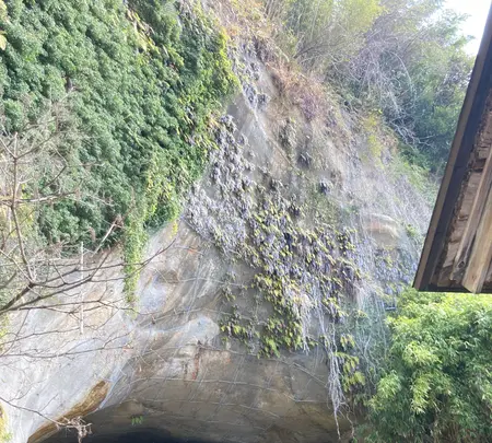 大境洞窟住居跡の写真・動画_image_677546