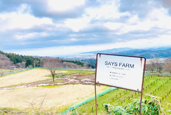 SAYS FARMの写真・動画_image_677598